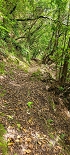Plants: image 56 Of 208 Thumb